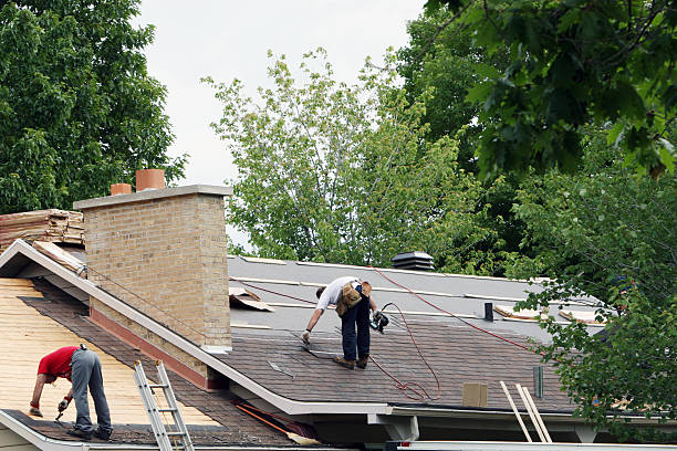 Best Roof Gutter Cleaning  in Lockwood, MT